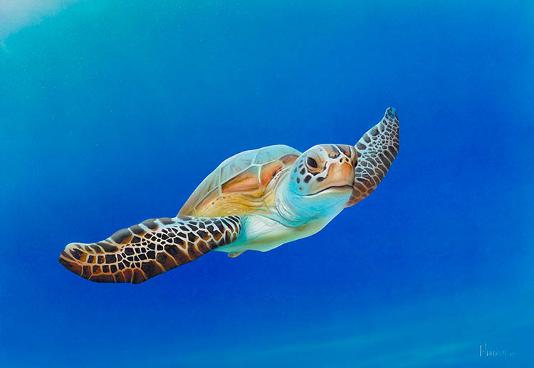 Sea Turtle In Flight