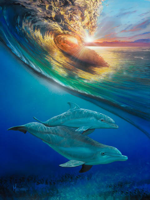 Dophins Above & Below
